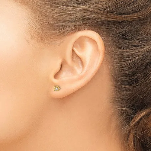 14k Gold Encased CZ Post Earrings